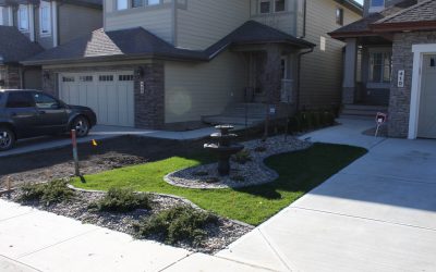 Landscaping Your New Home