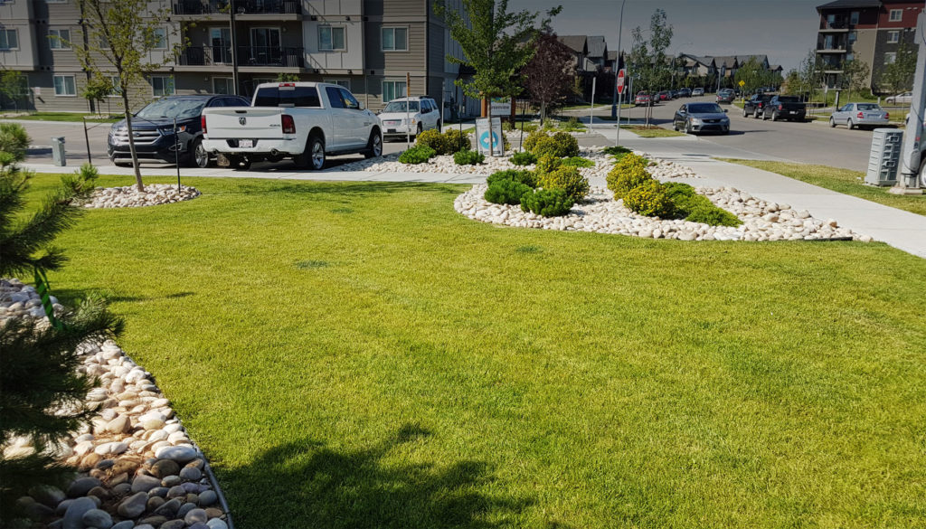 commercial fall landscaping edmonton